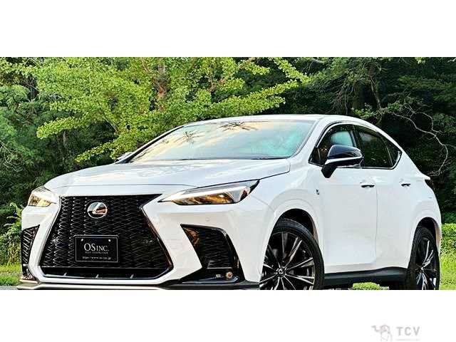 2022 Lexus NX