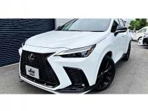 2022 Lexus NX
