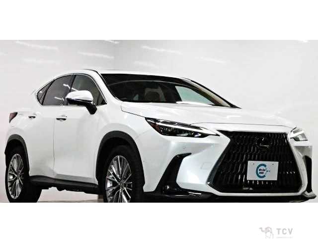2022 Lexus NX