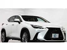 2022 Lexus NX