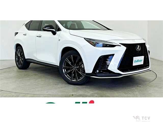 2022 Lexus NX