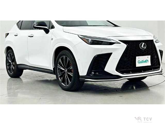 2022 Lexus NX