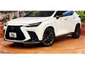 2022 Lexus NX