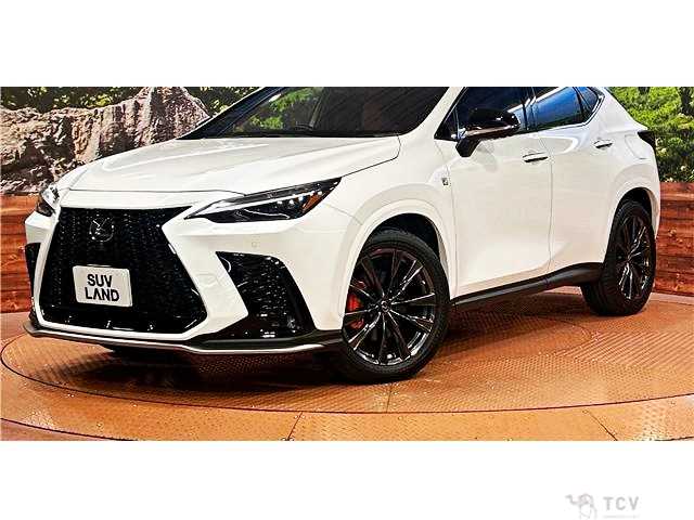 2022 Lexus NX