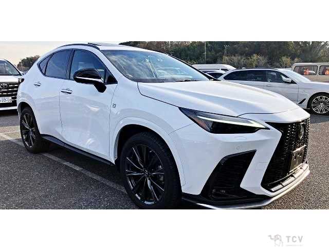 2022 Lexus NX