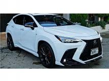 2022 Lexus NX