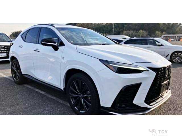 2022 Lexus NX