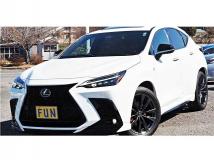 2022 Lexus NX
