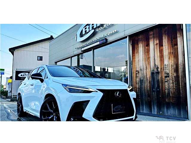 2022 Lexus NX