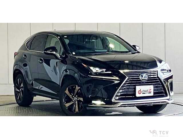 2021 Lexus NX