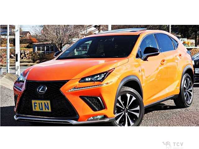 2021 Lexus NX