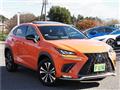 2021 Lexus NX