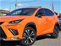 2021 Lexus NX