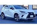 2021 Lexus NX