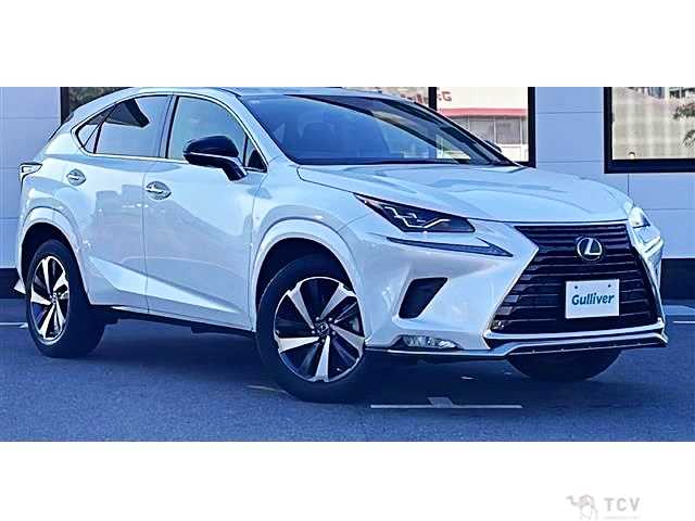2021 Lexus NX