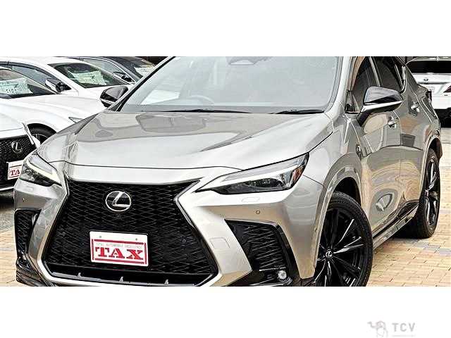 2021 Lexus NX