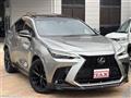 2021 Lexus NX