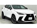 2021 Lexus NX