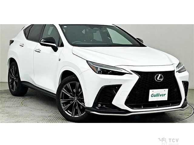 2021 Lexus NX