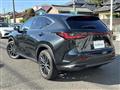 2021 Lexus NX