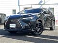 2021 Lexus NX