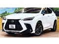 2021 Lexus NX