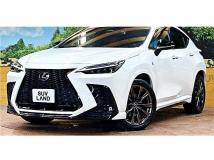 2021 Lexus NX