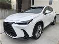 2021 Lexus NX