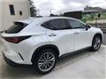 2021 Lexus NX