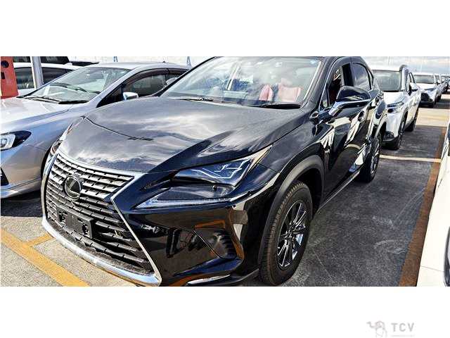 2020 Lexus NX