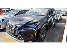2020 Lexus NX