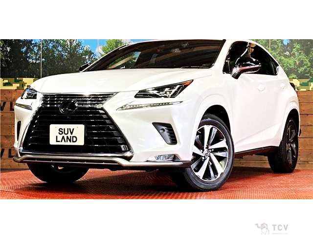 2020 Lexus NX