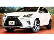 2020 Lexus NX