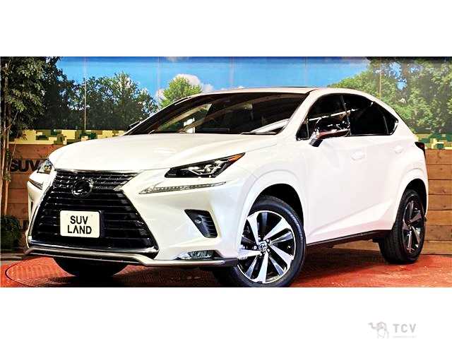 2020 Lexus NX