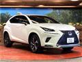 2020 Lexus NX