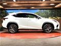 2020 Lexus NX