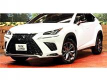 2020 Lexus NX