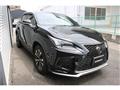 2020 Lexus NX