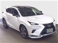 2020 Lexus NX