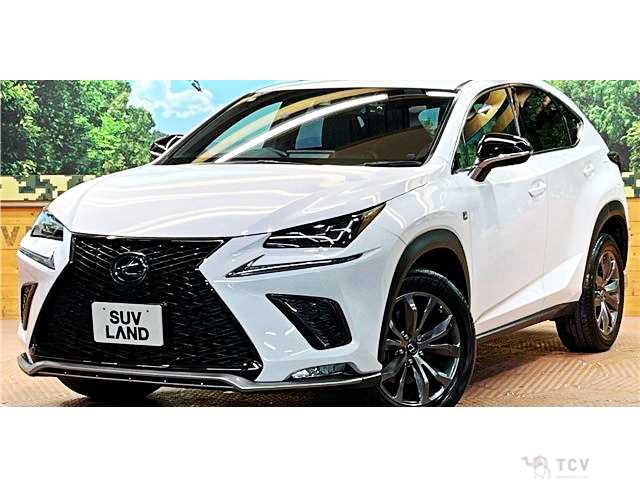 2020 Lexus NX