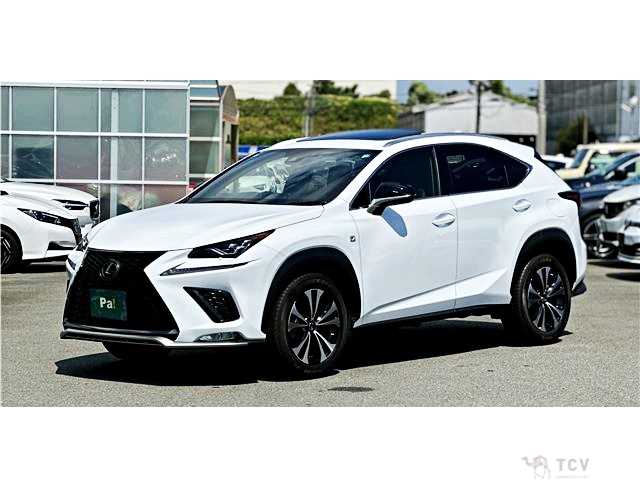 2019 Lexus NX