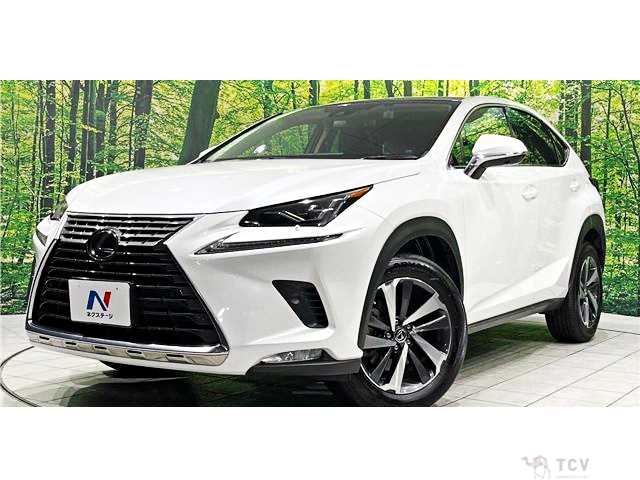 2019 Lexus NX