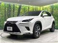 2019 Lexus NX