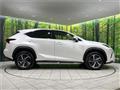 2019 Lexus NX