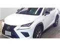 2019 Lexus NX