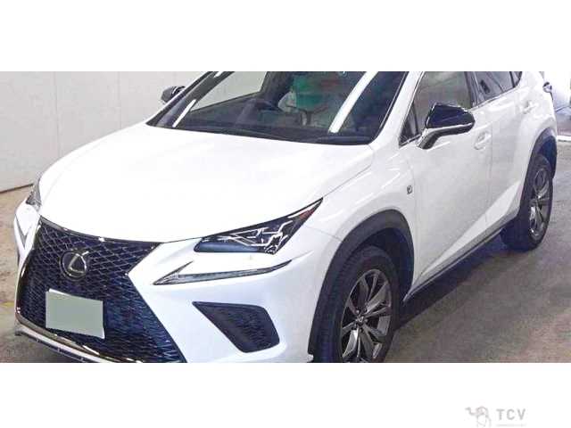 2019 Lexus NX