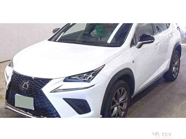 2019 Lexus NX