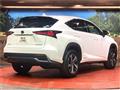 2019 Lexus NX
