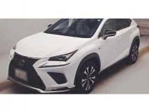 2019 Lexus NX