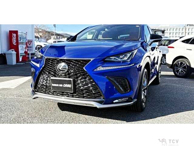 2019 Lexus NX